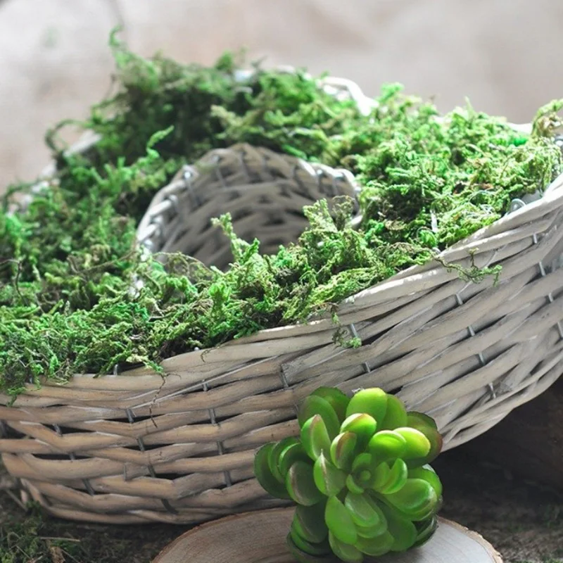 Натуральный 50 г/пакет сухой настоящий зеленый Искусственный мох ненатуральные