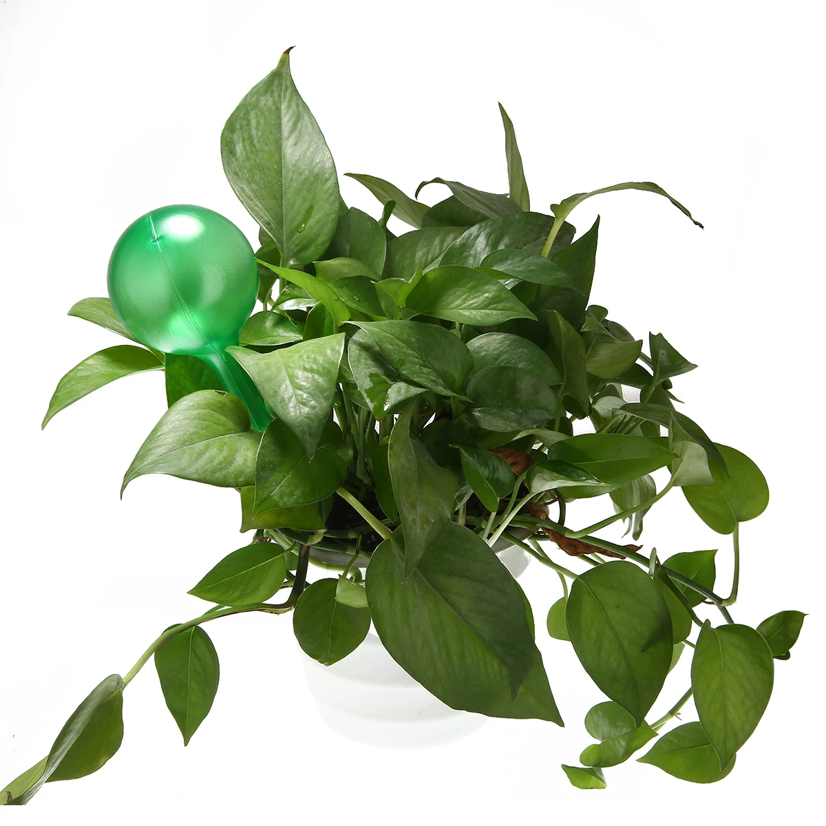 Набор для полива сада комнатного 6 шт. автоматическое устройство орошения