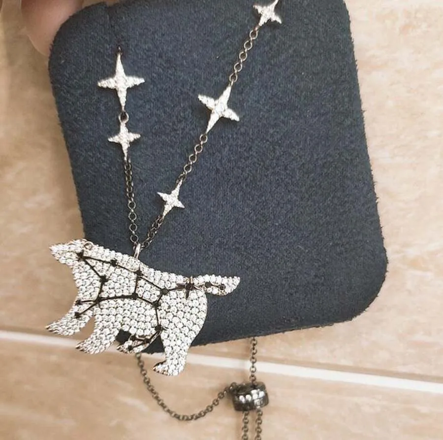 

Personalized constellation Pola animal Necklace Simple Crystal Raccoon Pendant Fashion classic women Clavicle Chain neck Jewelry
