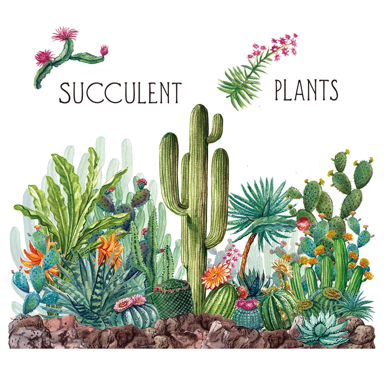 

Plants Cactus Wall Stickers Baseboard Stickers Paint Style for Living Room Kids Room Wall Decal Baby Nursery Wall Decor Garden