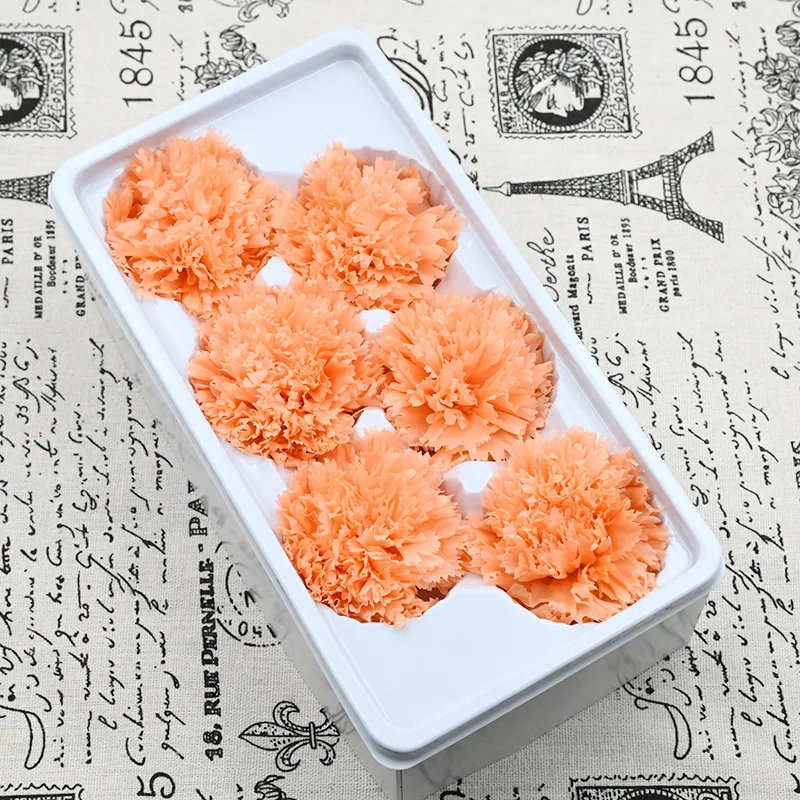 

Grade A High Quality Dried Natural Fresh Preserved Carnation Flowers,Beauty And The Beast Eternal Roses Head,Mothers Day Gift