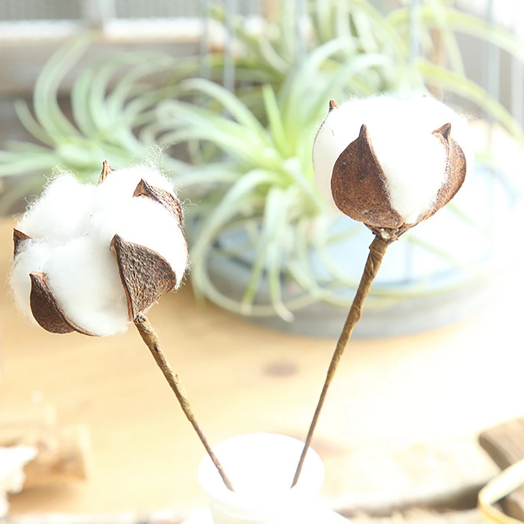 20 шт./Партия DIY естественные высушенные хлопковые стебли фермерский дом