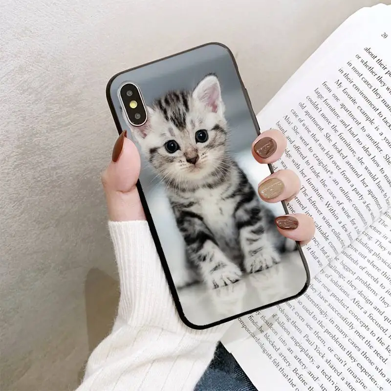 

YNDFCNB cute baby cats Phone Case For iPhone 8 7 6 6S Plus 5 5S SE 2020 12pro max XR X XS MAX 11 case
