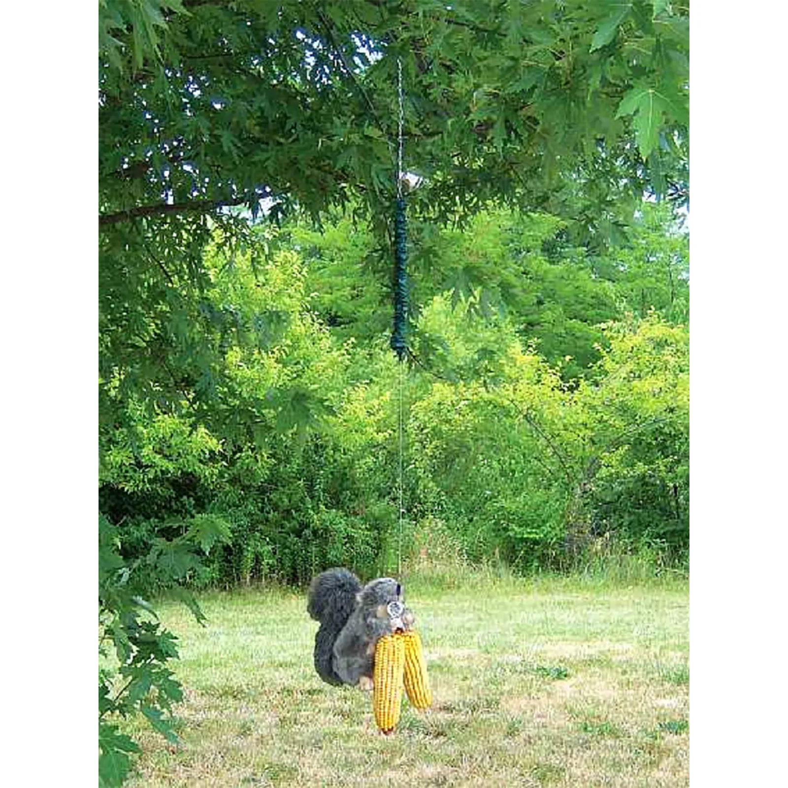 Забавная Кормушка Для белки кормушка для прыжков подходит дворов садовых