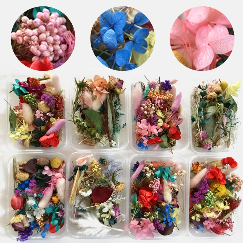 

1 Box Real Dried Flower Dry Plants For Jewelry Aromatherapy Candle Epoxy Resin Pendant Soap Making Craft DIY Accessories
