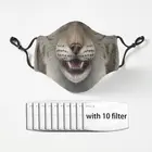 Маска eurasia Lynx, маска для половины лица, многоразовая Защитная Пылезащитная Антибактериальная маска