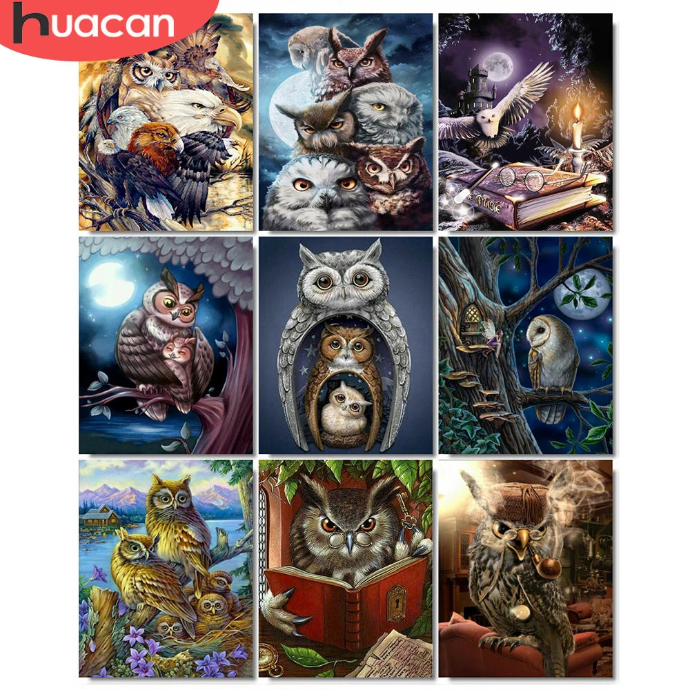 

HUACAN Paint By Numbers Owl Acrylic Wall Art DIY Frame On Canvas Unique Gift Picture By Numbers Animal Decoration