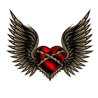 red heart angel wings iron on patches for clothing cool wings thermo stickers on clothes heat transfer appliques custom patch