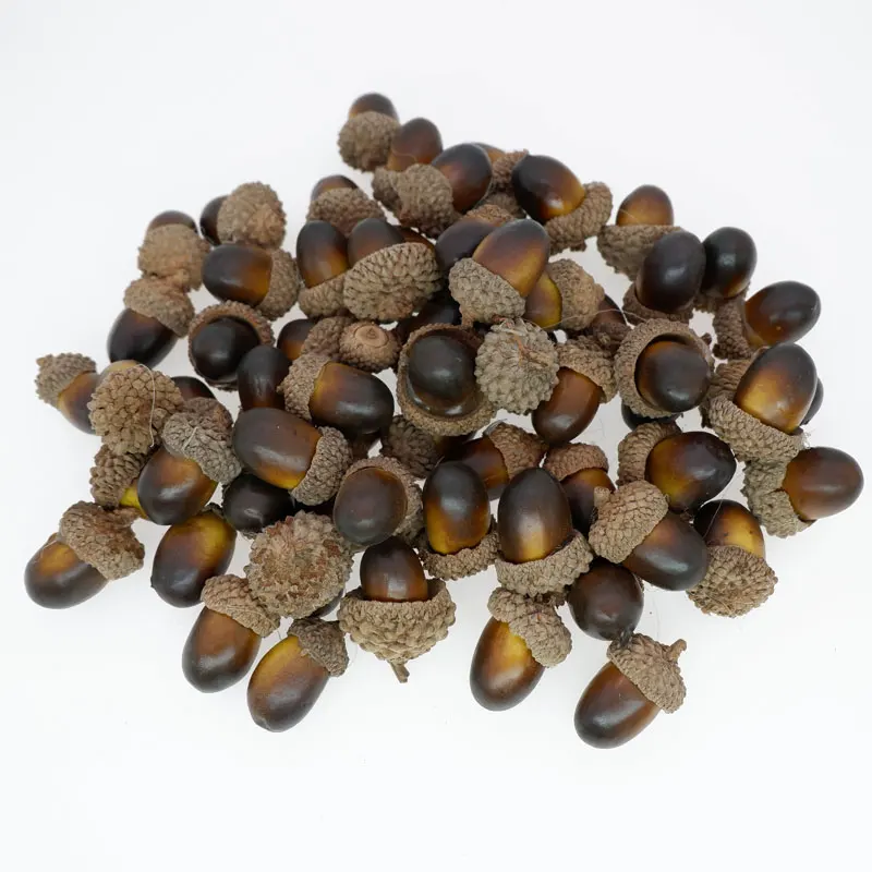 100 шт. искусственные желуди 2 см|Искусственные растения| |