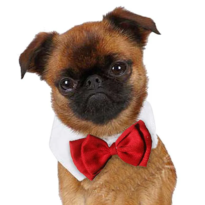 Милый хлопковый белый галстук-бабочка для собаки щенка домашнего питомца