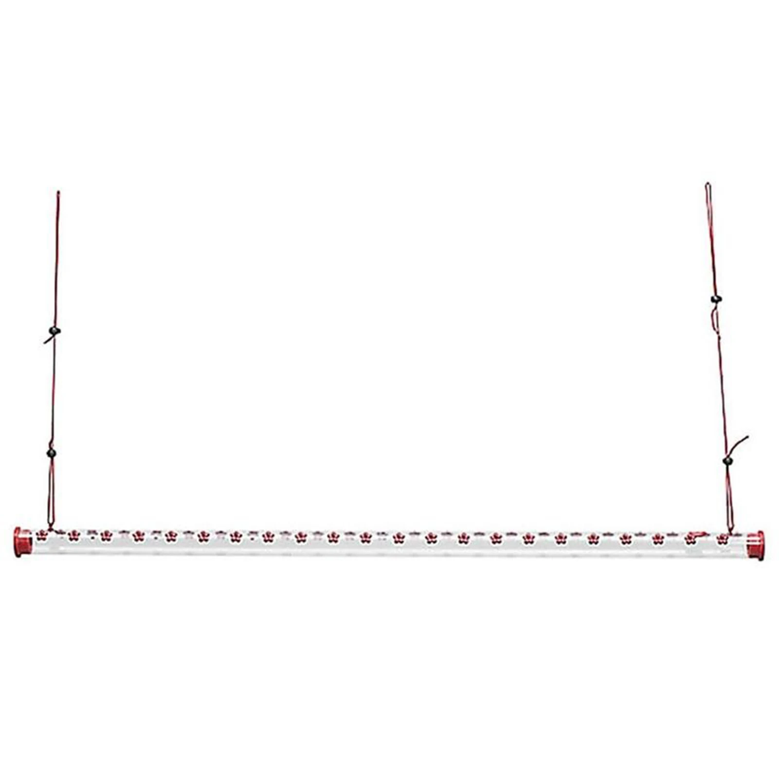

Hummingbird Feeder with Hole Feeding Hose Easy to Use Hanging Long Tube Feeder is the Best Gardening Tool