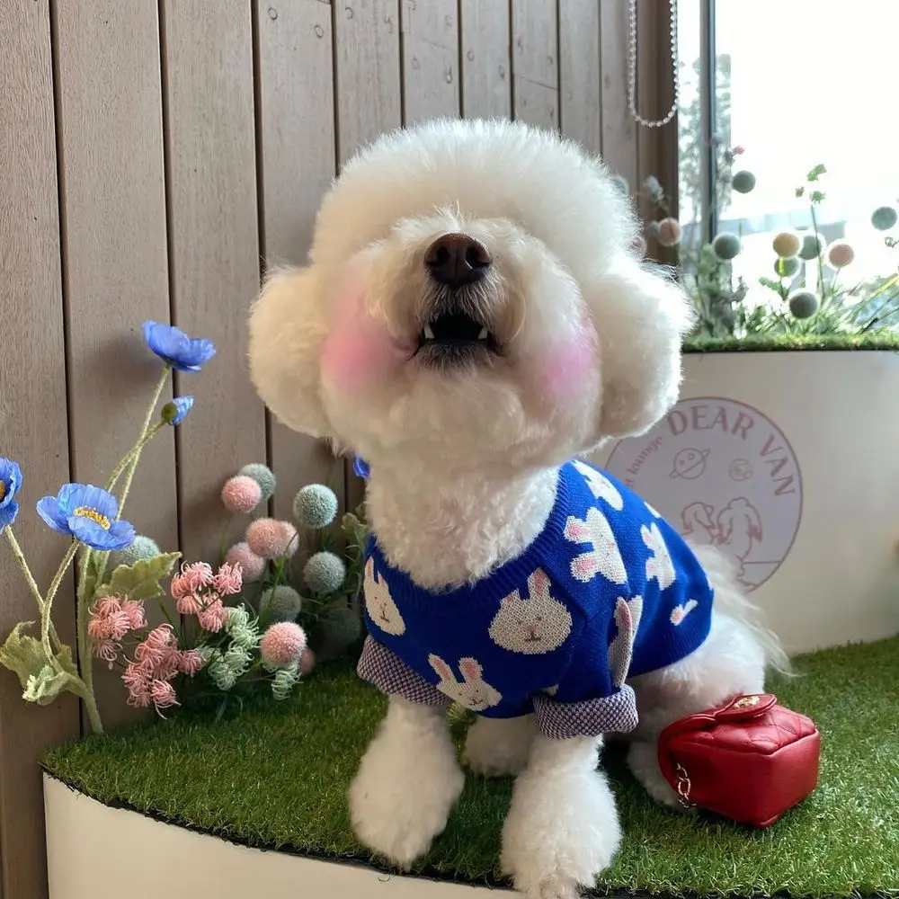 Милая Одежда для собак с принтом кролика сезон весна-осень теплый Трикотажный