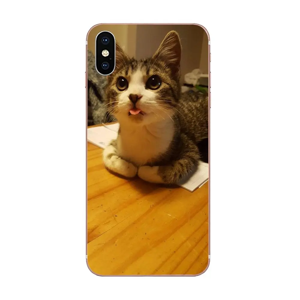 Маленький котенок милый Кот уникальный для Xiao mi 3 4 4C 4i 5 5s 5X6 6X8 SE Pro Lite A1 Max x 2 Note |