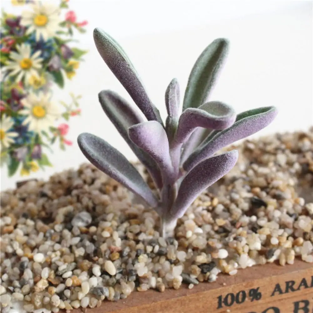 Искусственные растения суккуленты ремесло флористика украшение пластиковые для