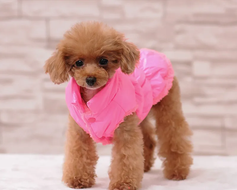 Зимняя одежда для собак, теплое Стеганое пальто для щенков, жилет, водонепроницаемая куртка для маленьких и больших собак, Толстовка для чихуахуа, костюмы на бретельках