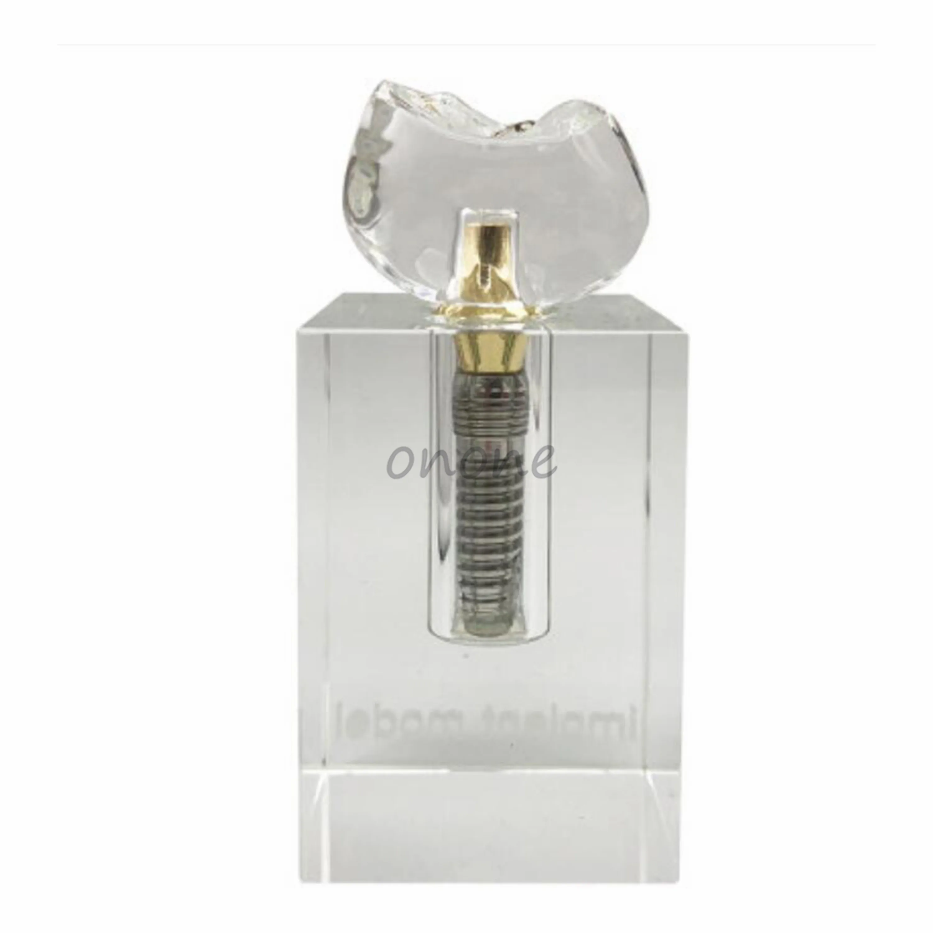 Демонстрационная модель зубного имплантата с кристаллами 1 шт.