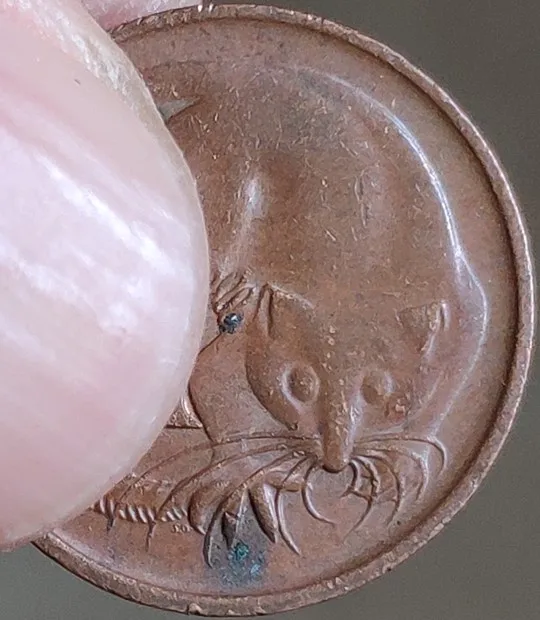 17 мм Австралия 100% настоящая памятная монета оригинальная коллекция | Дом и сад