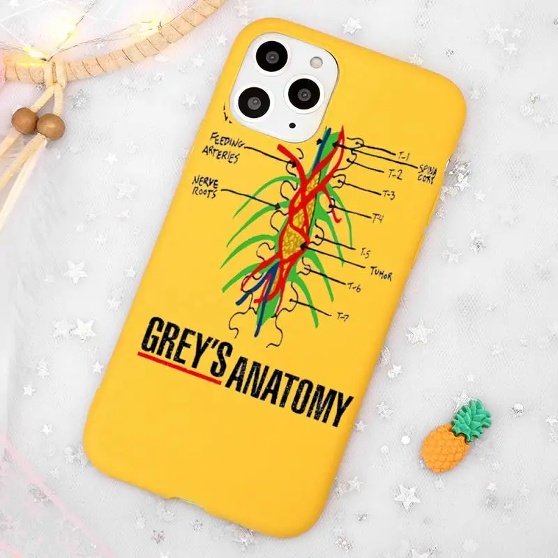 

friend Greys Anatomy You're My Person Phone Case Candy Color Yellow for iPhone 11 12 pro XS MAX 8 7 6 6S Plus X 5S SE 2020 XR