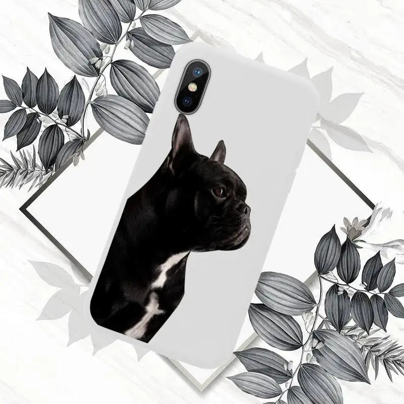 

Cute Funny French Bulldog Phone Case Candy Color for iPhone 11 12 mini pro XS MAX 8 7 6 6S Plus X SE 2020 XR