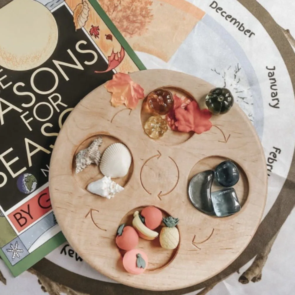

Montessori Life Cycle Board Teaching Aids Animal or Plants Toy for Xmas Present Gifts Preschool Boys Girls
