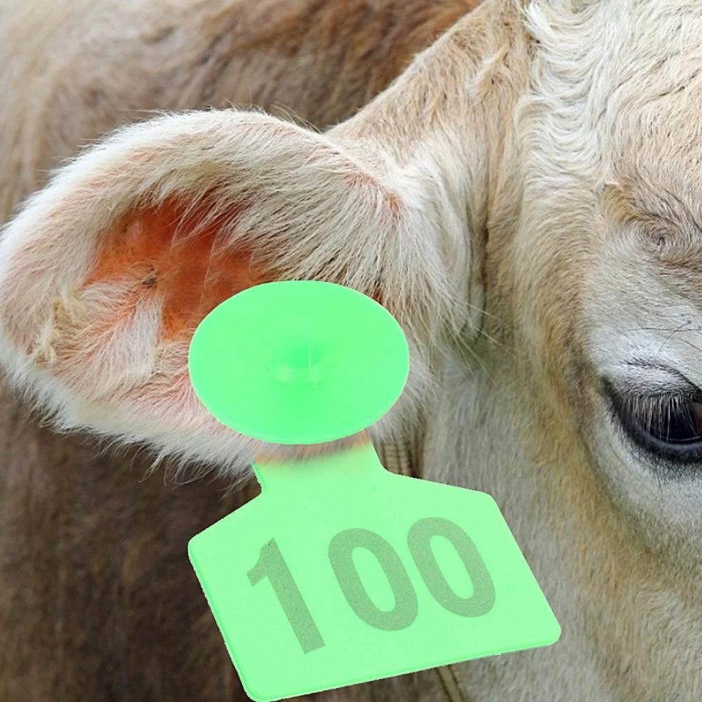 

Ear Tag Pig/Sheep Marker Applicator 001-100 Ear Tags for Goat Identification Kit Ear Tagger with 1pcs Pins Ear Tag Plier