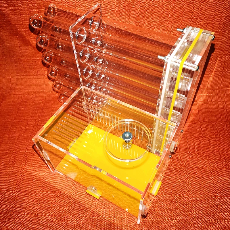 

Large Ant Feeding Nest Active Area Acrylic Ant Nest 18 mm Diameter Test Tube Ants Farm House