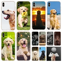 labrador retriever dog soft silicone case for iphone 13 12 11 pro 7 8 6 6s plus xr xs max cover mini se 2020 funda etuis