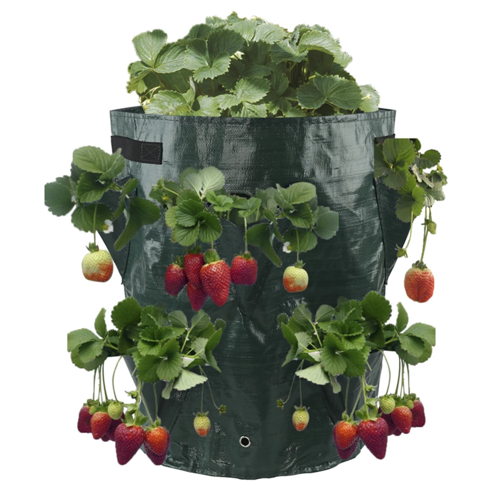 

Multi-Mouth Plant Growing Bag Garden Planting Pouch Reusable Root Plant Bag Foldable With Handle Washable Durable Large Capacity
