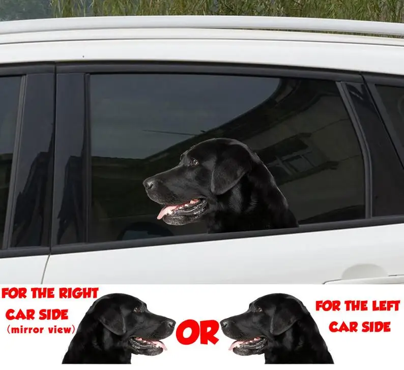 

2021 Black lab car window sticker , 3D sticker, funny sticker, Black lab decal