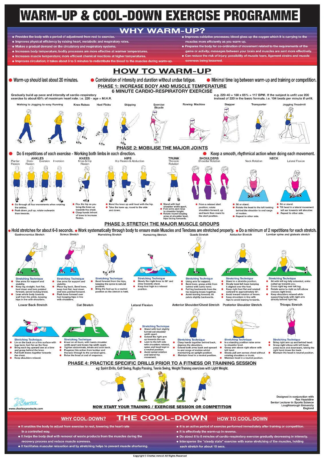 

Fitness Warm Up Cool Down Exercise Chart ART SILK Print POSTER Decorative Wall painting 24x36inch