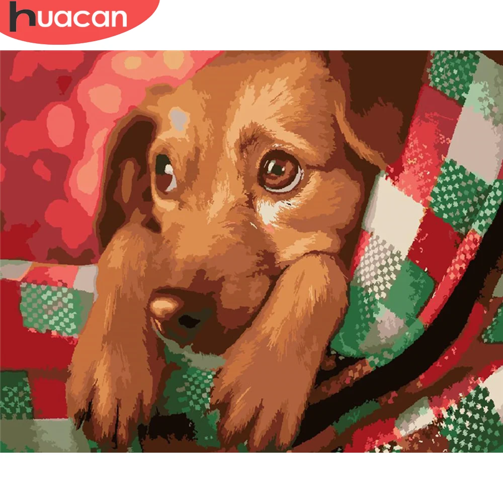 

HUACAN DIY картины по номерам наборы домашний декор живопись по номерам собака Рисование животных на холсте Ручная роспись искусство подарок