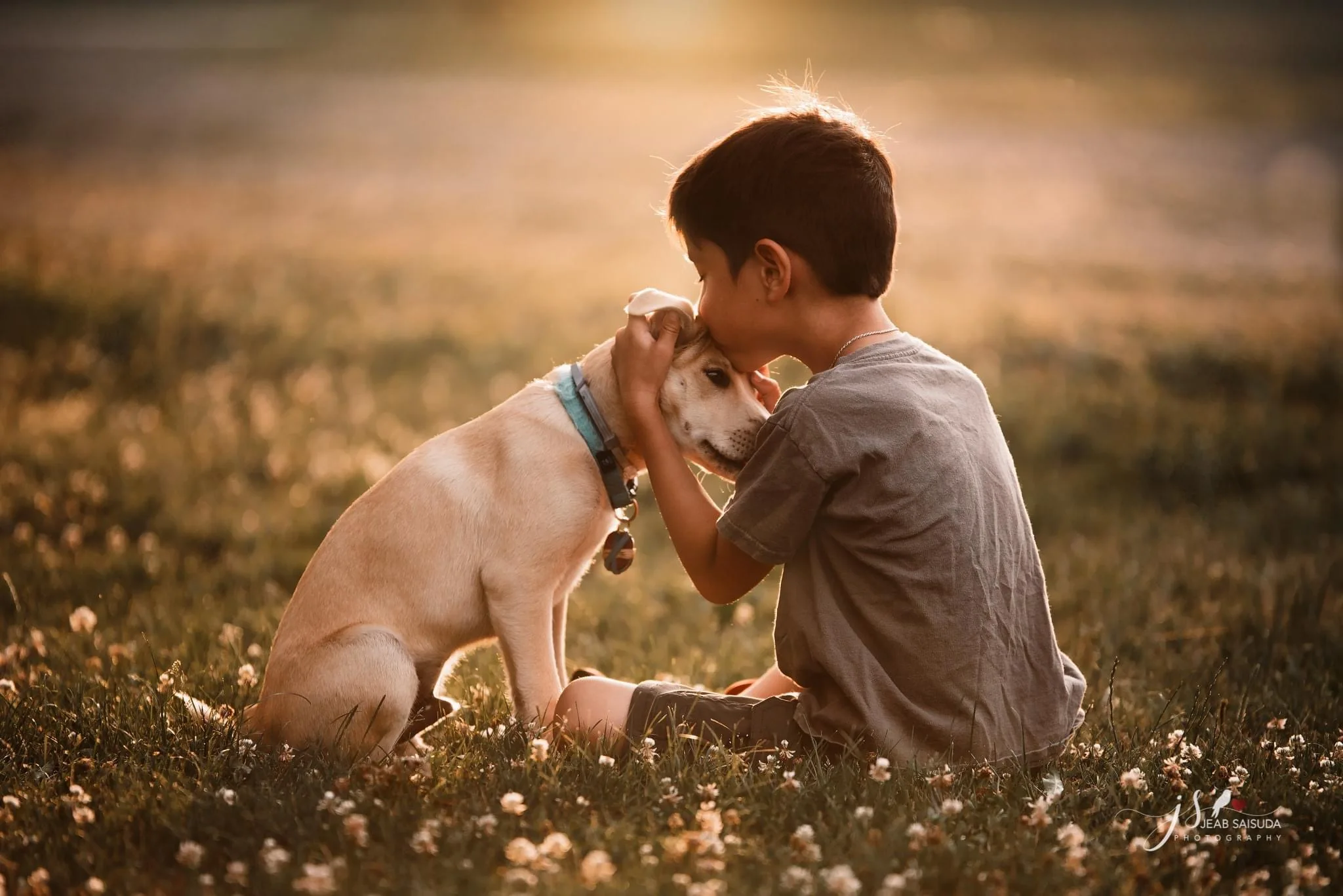 

perros accesorios Cuttie Dog Toys for Small Large Dogs Chewing Toys juguetes para perro Interactive Dog Ball Ropes Toy cachorro