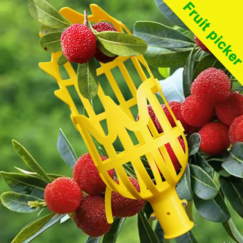 

Garden Fruit Picker Head Plastic Fruit Picking Tool Garden Fruit Collection Picking Head Tool Outdoor Fruitage Picking Supplies