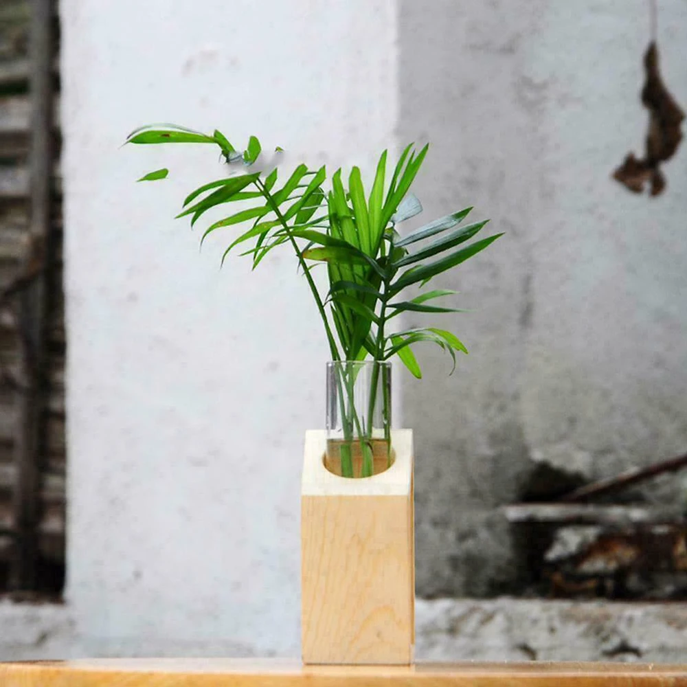 

Plant Terrarium With Wooden Stand Rack Glass Test Tube Vase Holder Test Tube Vintage Wood Frame Hydroponic Plants Glass Pot
