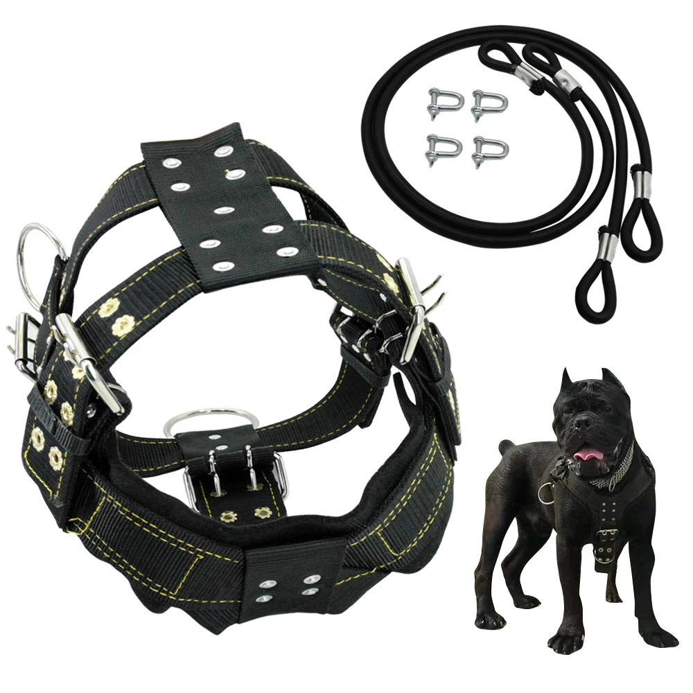 

Durable Dog Harness and Leash for Medium Large Dogs Heavy Duty French Bulldog Harness Vest Nylon Training Dog Harness Leads