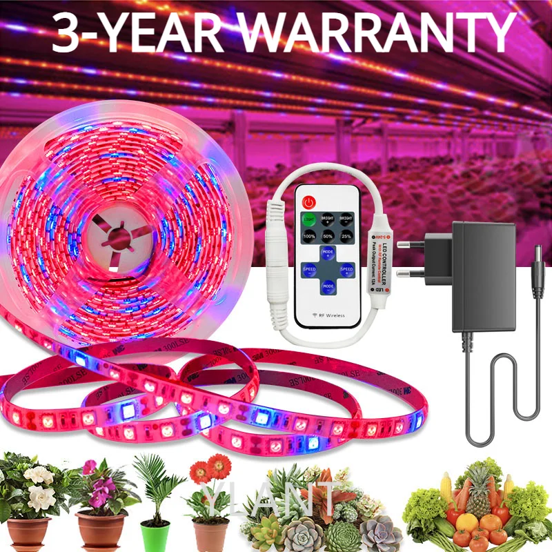 

20M 15M 10M 5M Plant LED Grow Light 4:1 Full LED Spectrum Grow Light Strip SMD DC 12V LED Phyto Tape for Flowers Greenhouses