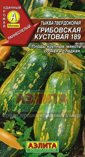 Тыква Грибовская кустовая 189 1гр /10 (цена за один пакет) | Дом и сад