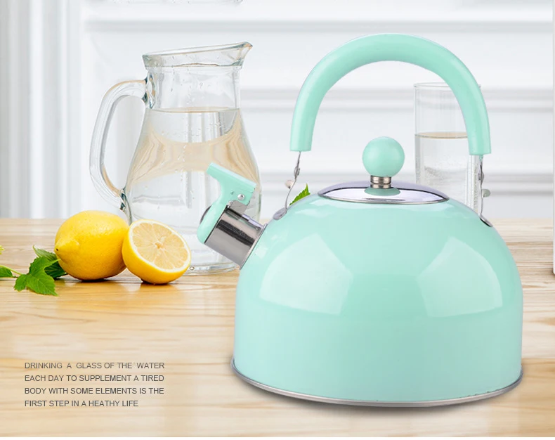 2 5 L Немагнитный толстый чайник из нержавеющей стали со звуком полусферический