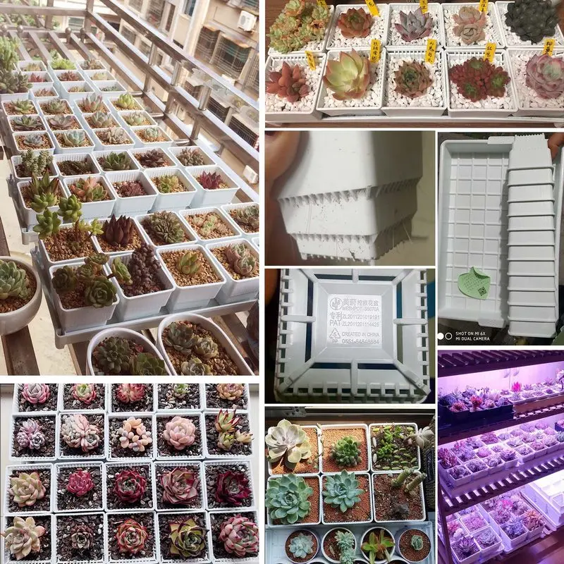 Белый горшок для суккулентов пластиковый контейнер кактуса умывальника на