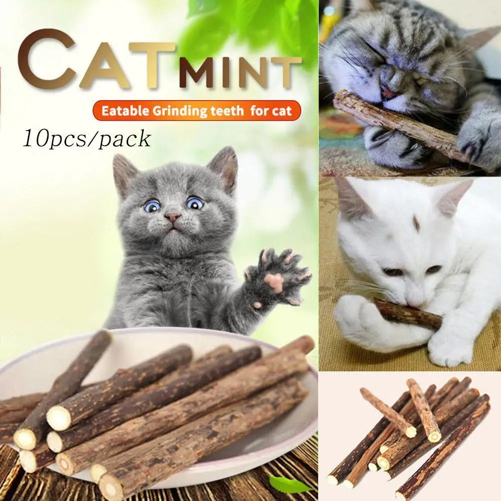 

Natural Catnip Stick Cat Cleaning Teeth Molar Toothpaste Branch Cats Snacks Sticks Pet Supplies Kitten Excitement Biting Stick