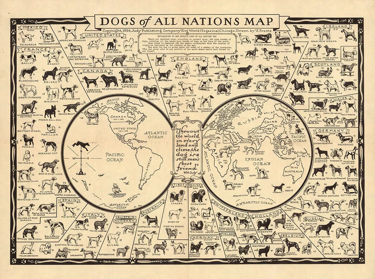 

World Dogs Breeds of All Nations Map Art Silk Poster Print 24x36inch