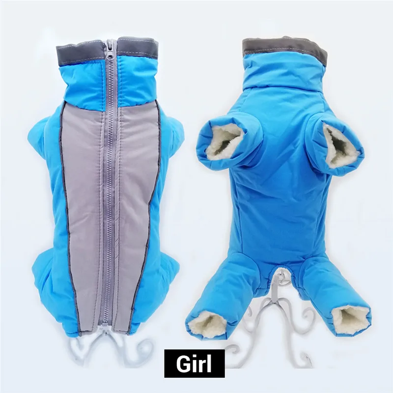 girl blue Зимний комбинезон для собак, теплый водонепроницаемый комбинезон для животных, брюки для мужчин/женщин, светоотражающий пуховик для маленьких собак и щенков - Цвет: girl blue