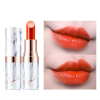 nude lipstick lipsticks batons pintalabios mate larga duracion batom kit maquiage lippenstift rouge a levre makup lip stick