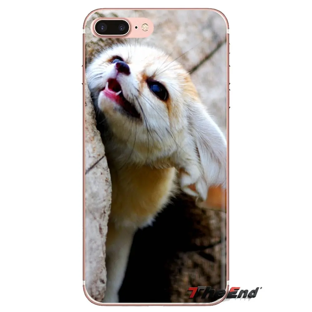 For Samsung Galaxy J1 J2 J3 J4 J5 J6 J7 J8 Plus 2018 Prime 2015 2016 2017 Transparent Soft Covers Vulpes zerda Fennec Fox Sahara |
