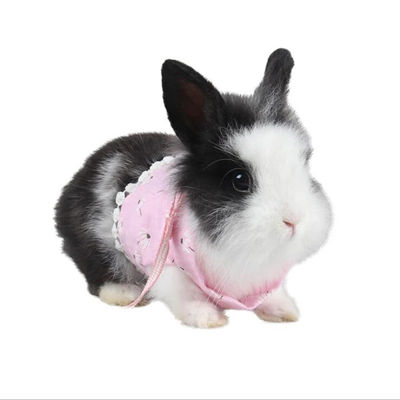 Маленький питомец двухногий нагрудный ремень Открытый Тяговый поводок одежда