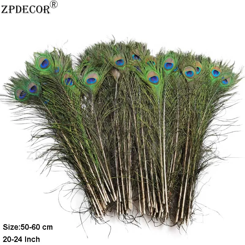 

Natural Peacock Feathers 50-60cm for Weddings Holiday Decorations