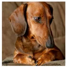 Алмазная живопись в виде таксы, собаки, стразы, круглые стразы, алмазная вышивка, мозаика, милый щенок, искусство FF1723