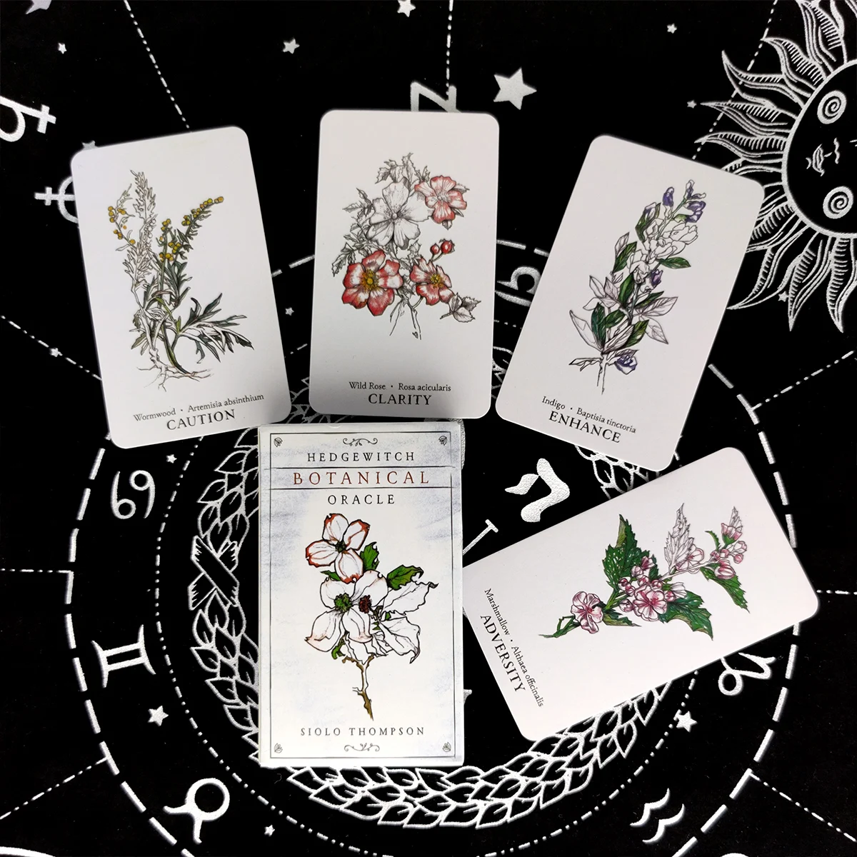 

Новинка, ботаническая карточка Hedgewitch с изображением оракла, карточки Таро, колода для гадания, версия на английском языке, бриллианты 40 лист...