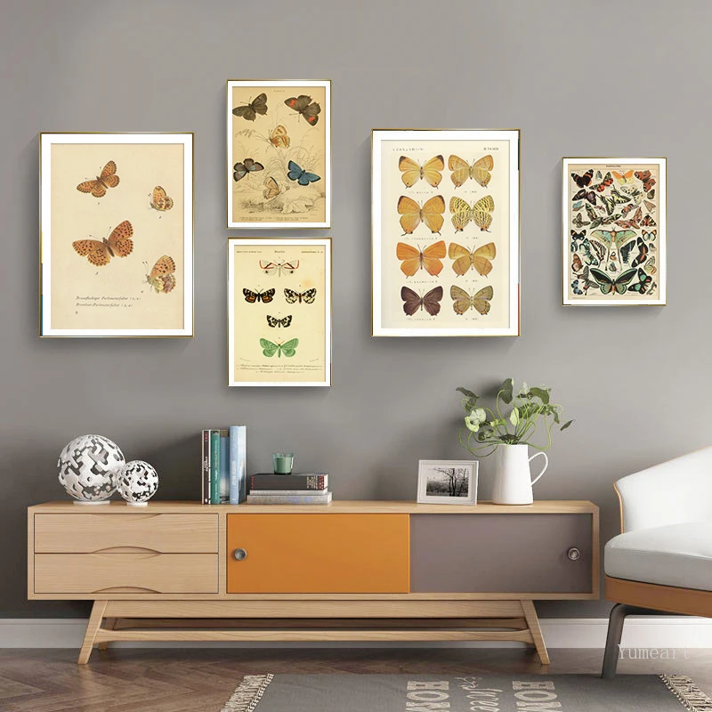 

Butterfly Insect Vintage Poster Print Canvas Painting Biology Education Wall Art Picture Modern Study Room Home Decoration Mural