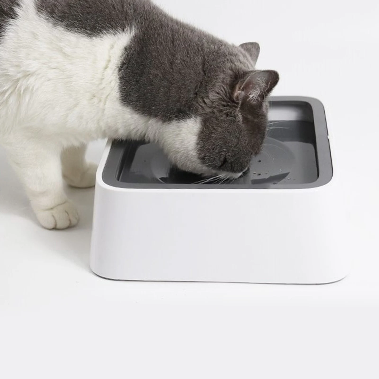 

Домашнее животное миска для собак и кошек плавающая чаша поилка для воды не мокрый рот брызги воды миска для кошки не разбрызгиватель воды п...